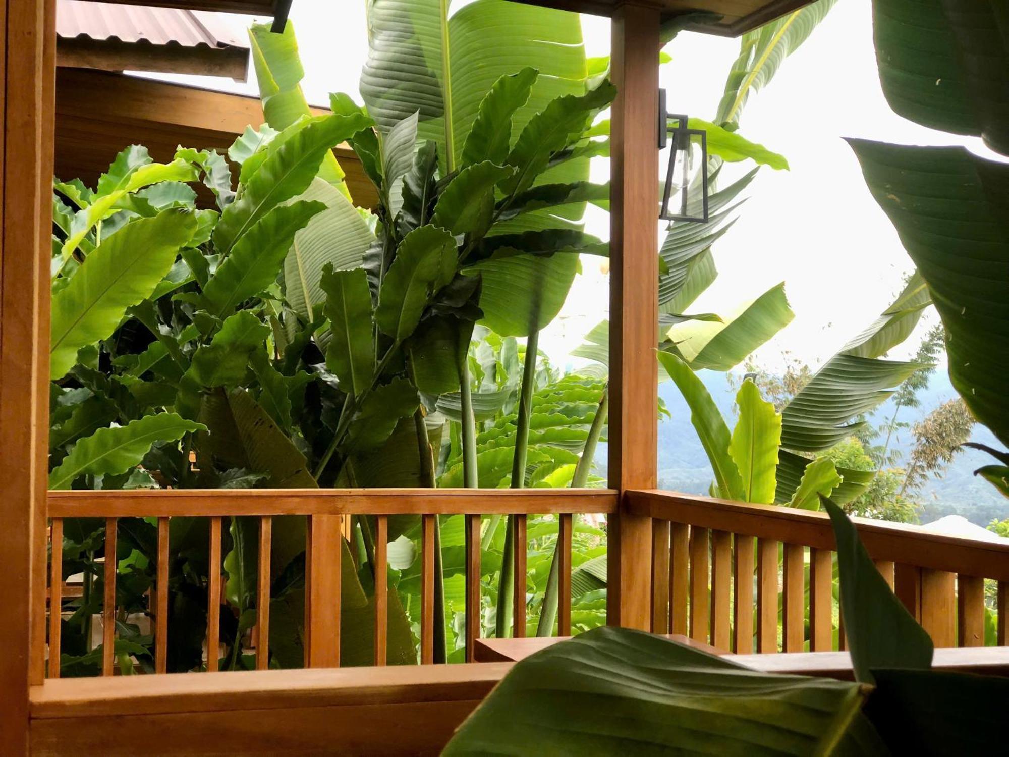 Cai Gui Ta Dung Hotel Bidong Luaran gambar